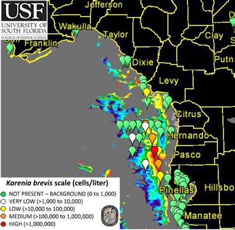 Florida is no stranger to flooding. With its extensive coastline and low-lying terrain, the state is particularly vulnerable to the impacts of rising sea levels and heavy rainfall....